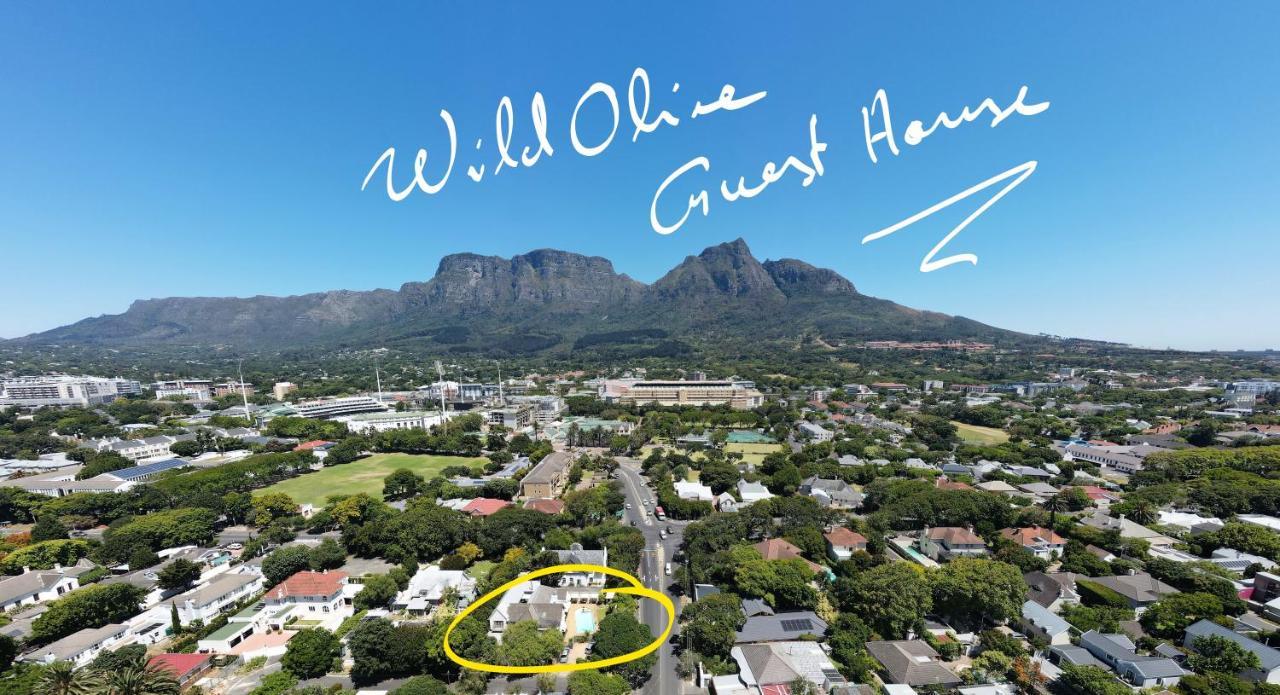 Wild Olive Guest House Cape Town Exterior foto